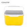 5.5L Easy Carry Ice Chest Outdoor Hiking Small Cooler with Handle