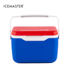 5.5L Easy Carry Ice Chest Outdoor Hiking Small Cooler with Handle