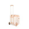 30QT Trolley Wheeled Cooler Handle Cooler Boxes With Speaker