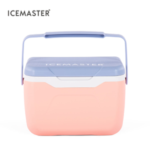 5.5L Easy Carry Ice Chest Outdoor Hiking Small Cooler with Handle