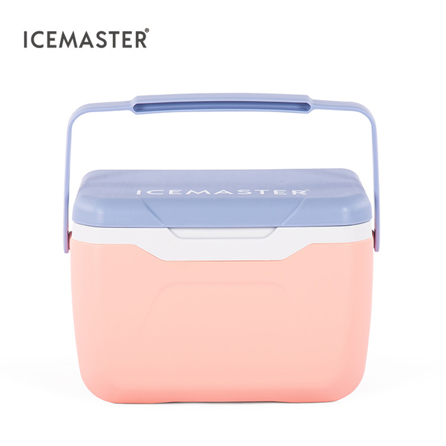 5.5L Easy Carry Ice Chest Outdoor Hiking Small Cooler with Handle