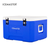 85L Fresh Food Cold Insulation Cooler for Medicine Storage