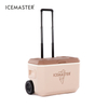 39L Glaciere Hard Telescoping Handle Coolers Box Fishing Beach Ice Cooler Box With Wheels