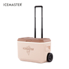 39L Glaciere Hard Telescoping Handle Coolers Box Fishing Beach Ice Cooler Box With Wheels