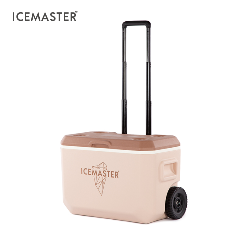 39L Glaciere Hard Telescoping Handle Coolers Box Fishing Beach Ice Cooler Box With Wheels